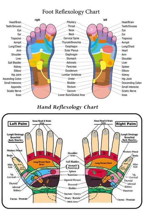 Hand And Foot Reflexology Charts