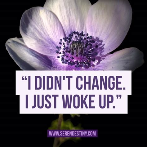Day Right Quote 46 I Didnt Change I Woke Up