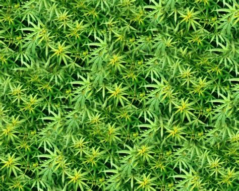 Free 21 Weed Wallpapers In Psd Vector Eps