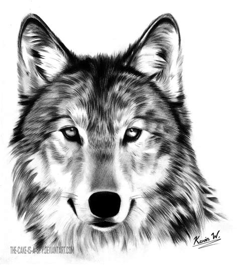 Pin By Karim Davlatov On Inspiration Wolf Drawing Wolf Head Drawing