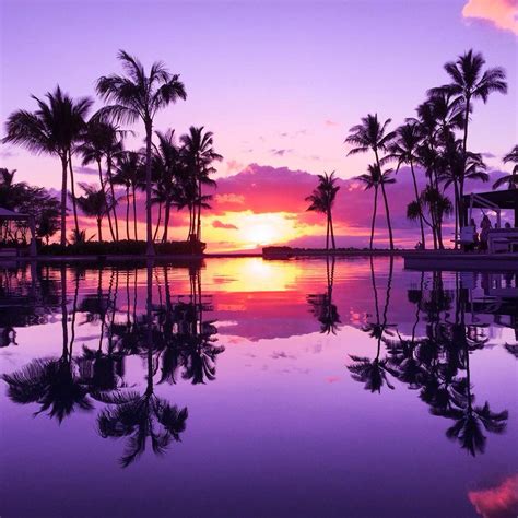 Beauty Sunset Beautiful Flowers Maui