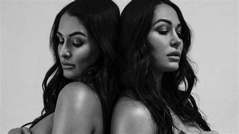 Nikki Bella Shares Tasteful Nude Pregnancy Pic With Twin Brie My Xxx Hot Girl