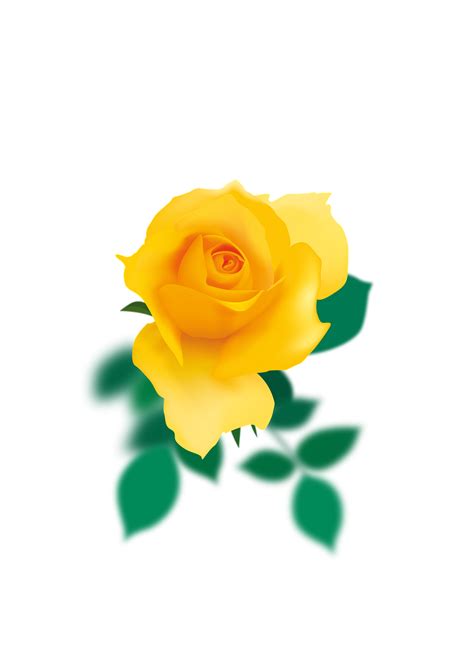 Download Yellow Rose Nature Rose Royalty Free Stock Illustration Image