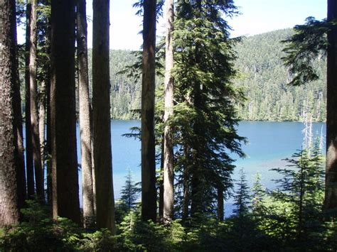 Hiking Chinidere Mountain Near Portland Or