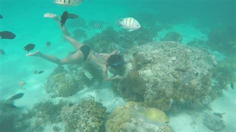 Snorkeling In Coron Palawan Philippines Youtube