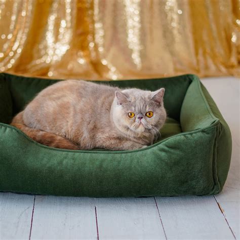 Cat Bed Emerald Green Velvet Cat Floor Pillow For Modern Etsy