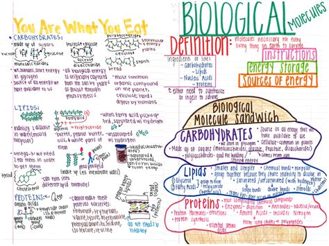 Just to search and unlimited worksheet will open in a new window. Biology Knights: YOUR Interactive Notes #apbiology | Study ...