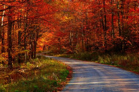 Travel Road Forest Autumn Wallpapers Wallpaper Cave