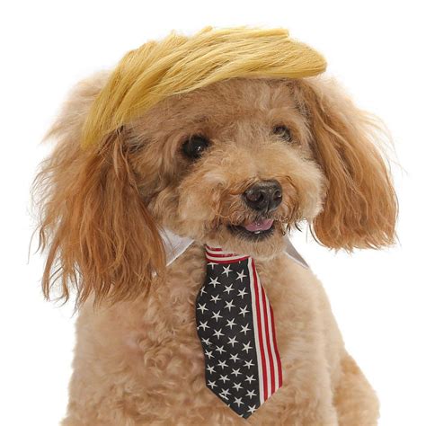 The american civil liberties union (aclu) sued on behalf of individuals and black lives matter, arguing. Donald Trump Wig Dog Costume