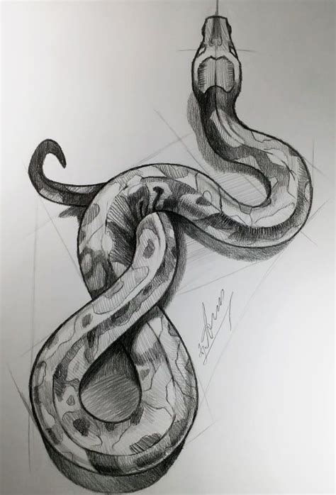 A Pencil Drawing Of A Snake On Paper