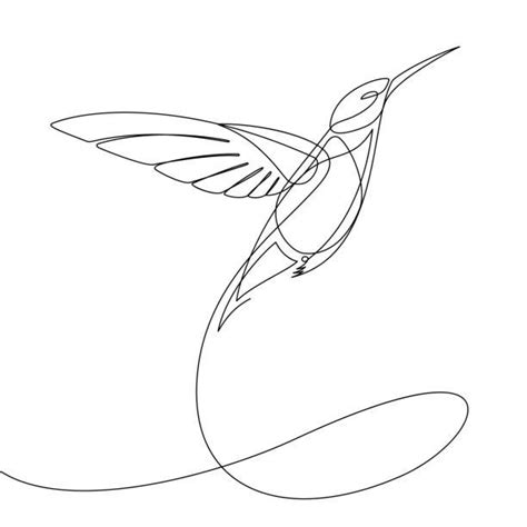 Continuous Line Drawing Bird Сток видеоклипы Istock Dessin De