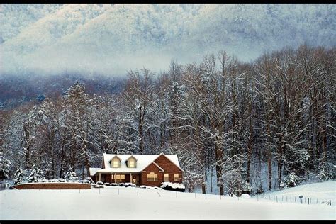 Mountain Homestead Diy