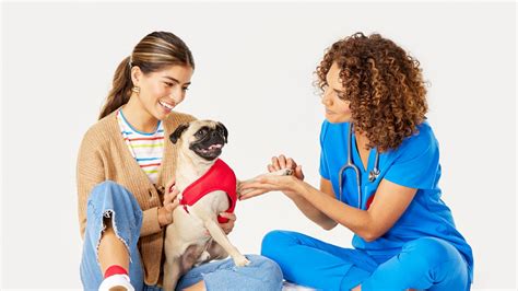 Pet CPR: Knowing the Techniques to Protect Your Four-Legged Family