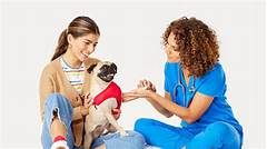 A Haven For Your Four Legged Family Member Pet Boarding Brandon Fl