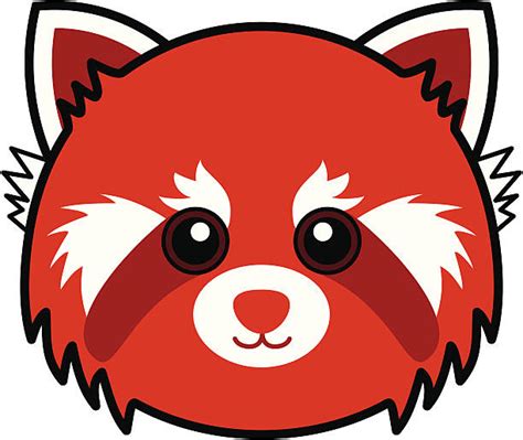 Top 60 Red Panda Clip Art Vector Graphics And Illustrations Istock