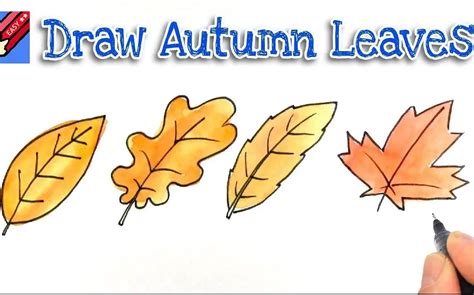 How To Draw Fall Leaves 10 Amazing And Easy Tutorials
