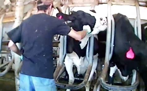Breaking Were Suing Idaho To Overturn Aggag Law Against Filming