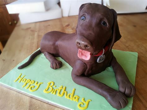 Chocolate Labrador Cake The Great British Bake Off The Great