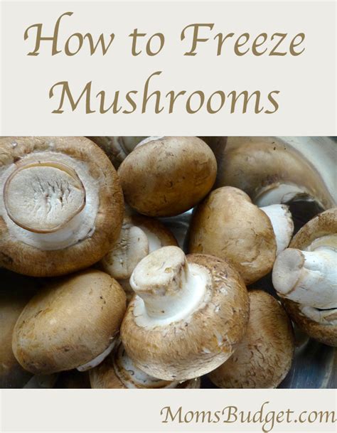 How To Freeze Mushrooms Moms Budget