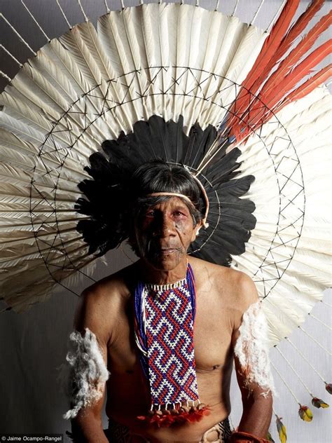 brasil karajá fotopedia povos indígenas brasileiros indios brasileiros arte indígena