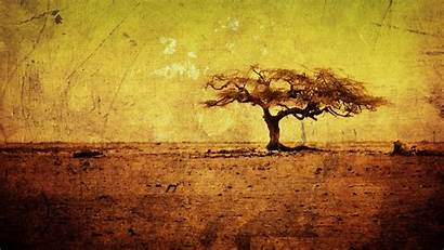Grunge Yellow Tree Widescreen Wallpapers Pixelstalk