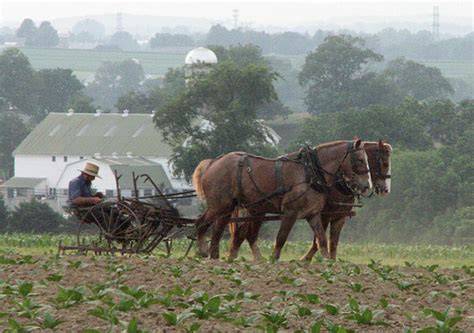A Closer Look At Amish Communities In America