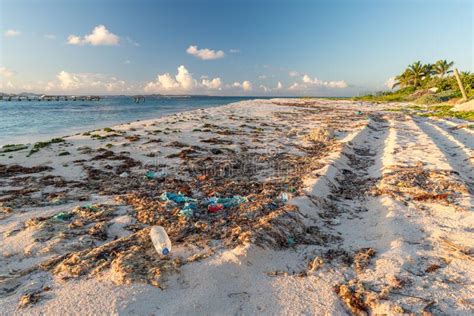 Anguilla Caribbean Beach Landscape Plastic Garbage Stock Image