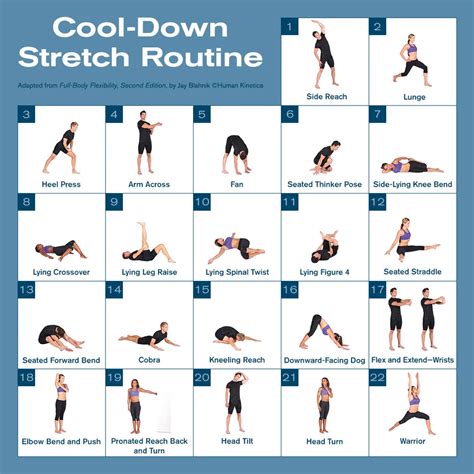 Cool Down Stretch Routine Stretch Routine Cool Down Stretches Post