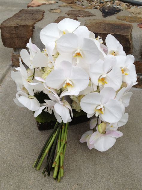 Phalaenopsis orchid bouquet | Phalaenopsis orchid, Orchid ...