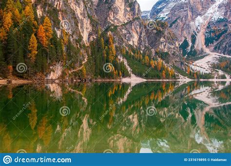 Mountain Rocks And Autumn Forest Reflected In Water Of Braies Lake