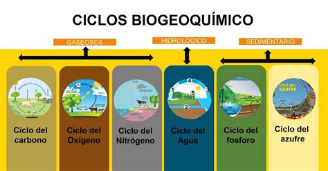 Los Ciclos Biogeoquímicos Guía Didáctica