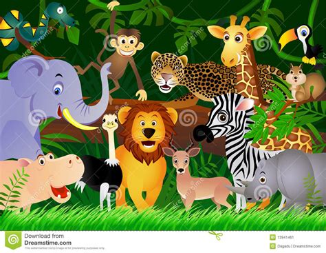 Cute Animal Cartoon In The Jungle Stock Vector