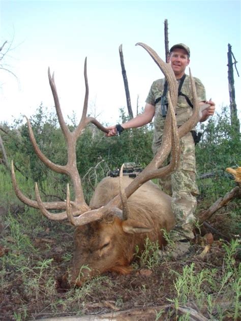 Bulls Of 2009huge Arizona Bull Eat Sleep Hunt Elk
