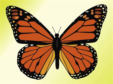 Monarch Butterfly Bw No Shadow Clip Art At Vector Clip