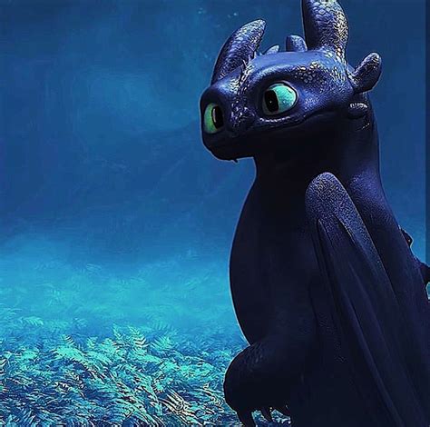 Toothless And Stitch Toothless Dragon Dragon 2 How To Train Your