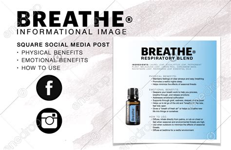 Dōterra Breathe Respiratory Blend Benefits How To Use Squ By Angela