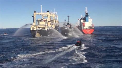 Nisshin Maru Boxes Bob Barker Between Itself And Fuel Tanker Causes