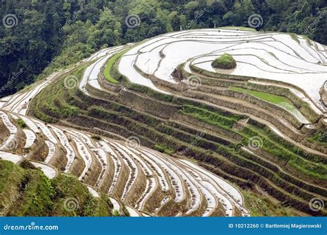 Terraced Rice Fields In Guilin Longshan Stock Photo Image 10212260