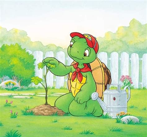 Franklin The Turtle Franklin The Turtle Franklin And Friends Kid Movies
