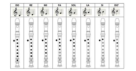Guía Taller De Interpretación Con Flauta Dulce Flauta Escala Natural