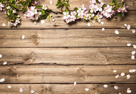 Rustic Wedding Flowers Brown Wood Floor Backdrops Spring Baby Pink