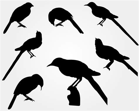 Set Of A Black Bird Silhouette 8346273 Vector Art At Vecteezy