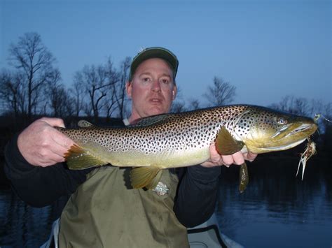 Duneland Fly Fishers White River Arkansas