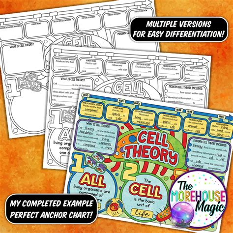 Cell Theory Graphic Organizer