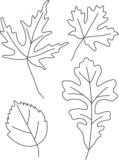 Leaves To Trace Leaf Coloring Page Leaf Drawing Fall Leaves