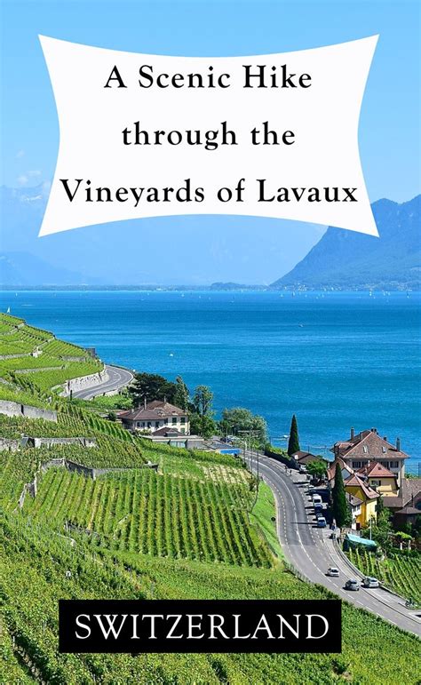 A Scenic Hike Through The Vineyards Of Lavaux Switzerland