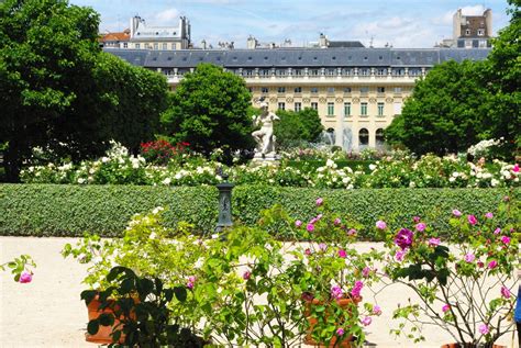 Explore The Secretive Palais Royal Garden French Moments