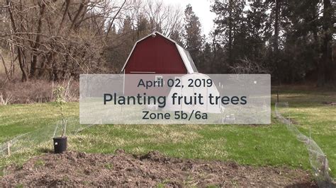 2019 04 02 Planting Fruit Trees Zone 5b6a And The Grand Plan Youtube