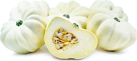 White Acorn Squash Information Recipes And Facts