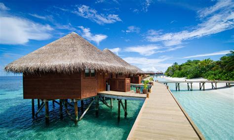 Mirihi Island Resort In Maldives Islands Room Deals Photos And Reviews